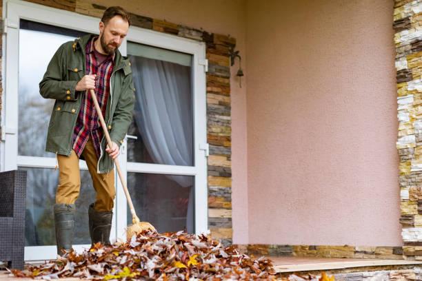 Yard Cleanup Services in Ringgold, LA